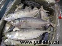 巴基斯坦渔业产品出口大幅增长