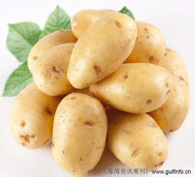 土豆提取物可以控制过肥胖症