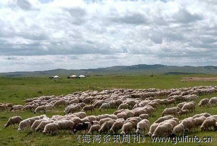 <font color=#ff0000>苏丹</font>开始出口价值10亿美元的牲畜肉