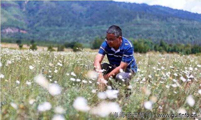 中国农业技术为肯尼亚“播种”希望