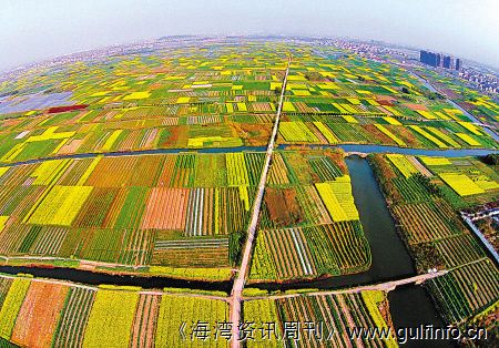 打造中非农业产业园 建非洲大粮仓 带动企业走出去