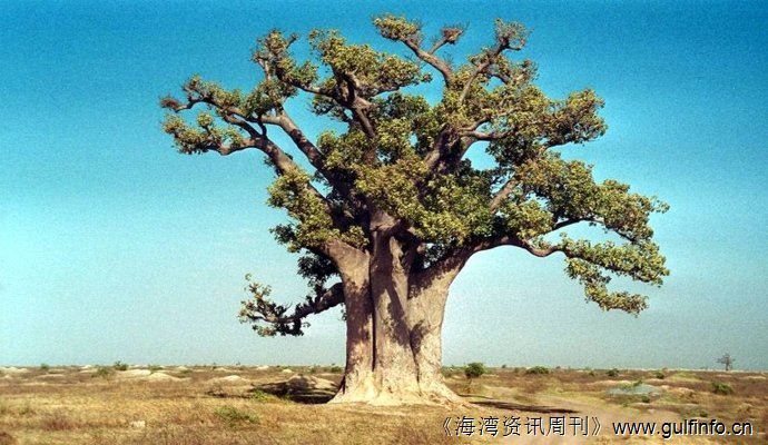 <font color=#ff0000>非洲城市</font>探索低碳发展模式