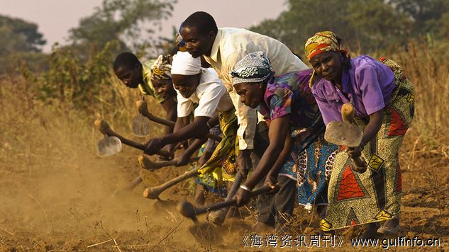 <font color=#ff0000>撒哈拉</font>以南非洲需提高农业生产率