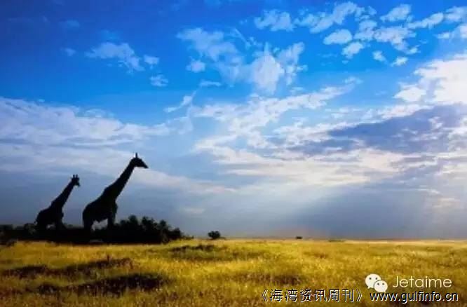 肯尼亚｜这个国家“有点怪”