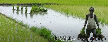 厄尔尼诺致非洲农村大面积受灾