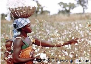 中国将在非洲贝宁、马里等四国推广种植棉花
