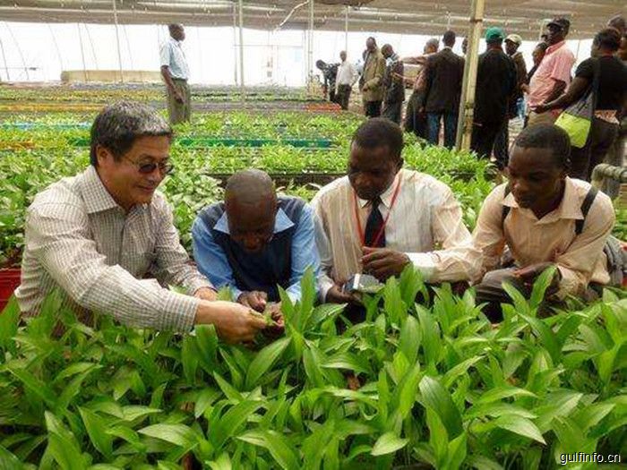 农用化工业是肯尼亚最富前景的产业领域之一,你知道它的发展现状与投资前景吗?