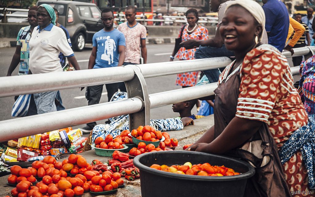 知道为什么西红柿对于尼日利亚无比重要吗？