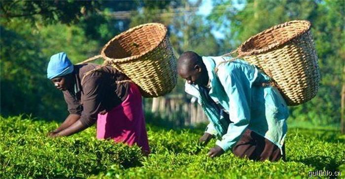 肯尼亚农用化学品产业分析