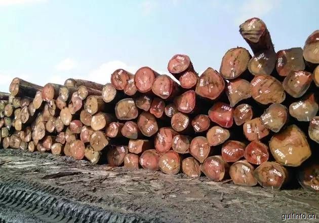 非洲多国颁布木材禁令 木材<font color=#ff0000>进口</font>减少