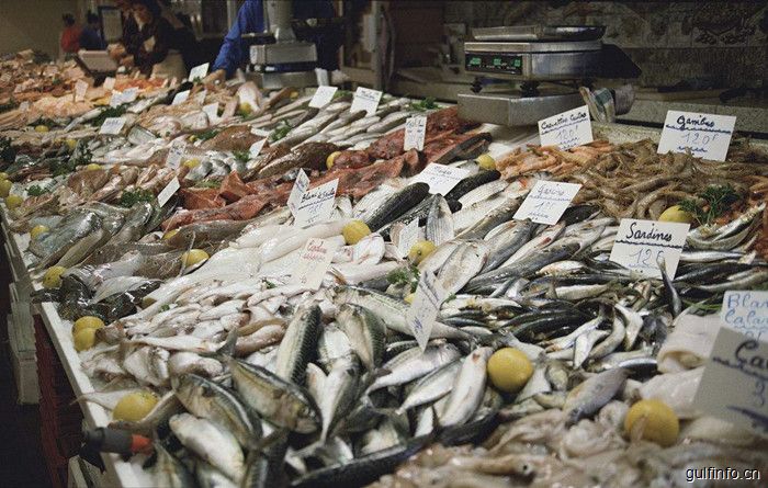 加纳国内消费的鱼类60%靠<font color=#ff0000>进口</font>