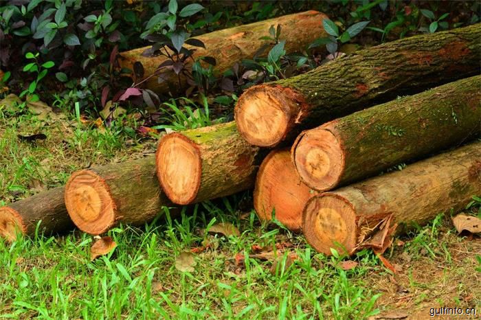 对认证木材的<font color=#ff0000>需求</font>增长将成为非洲木材一个重大挑战