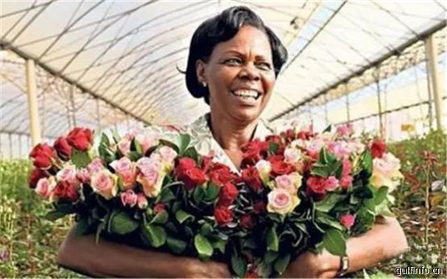 埃塞俄比亚欲打造花卉产业集聚区