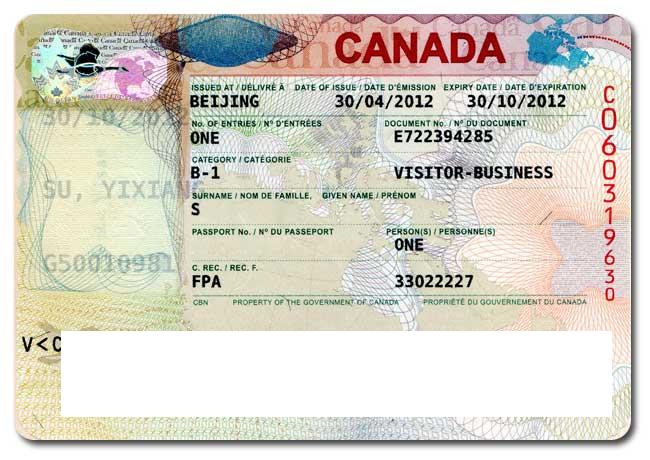 签证改革：<font color=#ff0000>尼日利亚</font>将引入三种新的签证类型