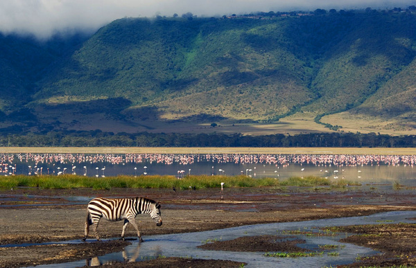 坦桑尼亚名列世界最佳旅游目的地之一