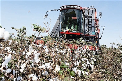 <font color=#ff0000>到非洲种棉花，这家青岛企业“养活”了非洲100万人</font>