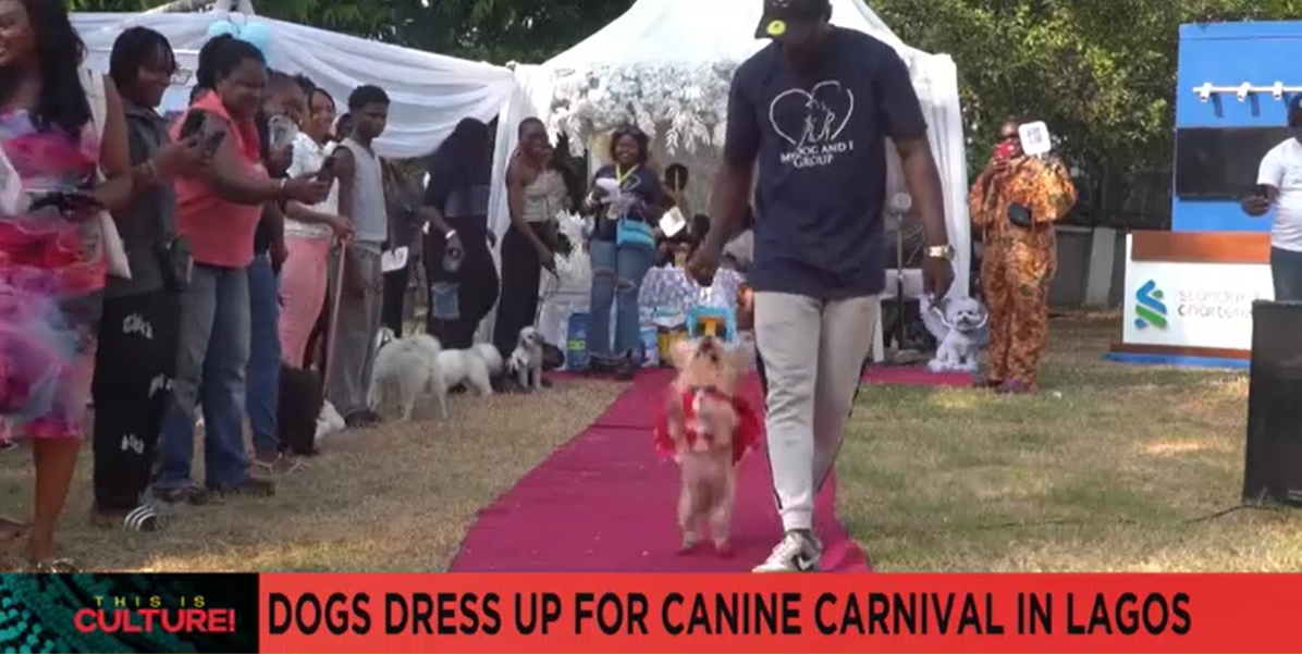 拉各斯的 Dogs Canine Carnival 吸引了数十名宠物主人