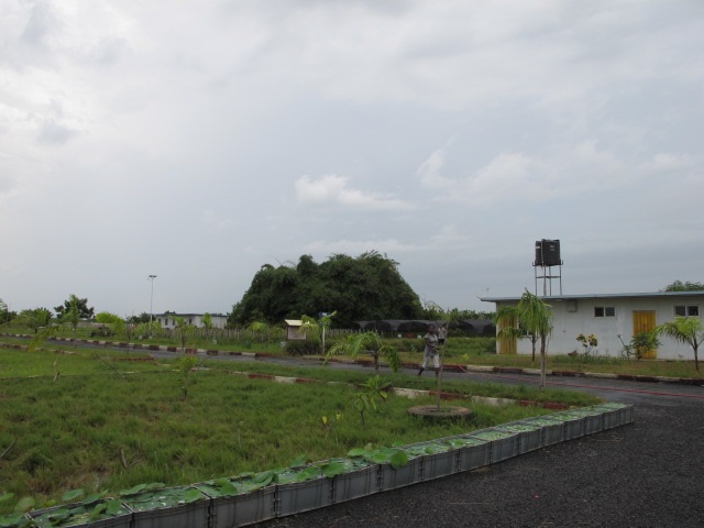 <font color=#ff0000>加纳</font>农业发展遇瓶颈，需外来投资